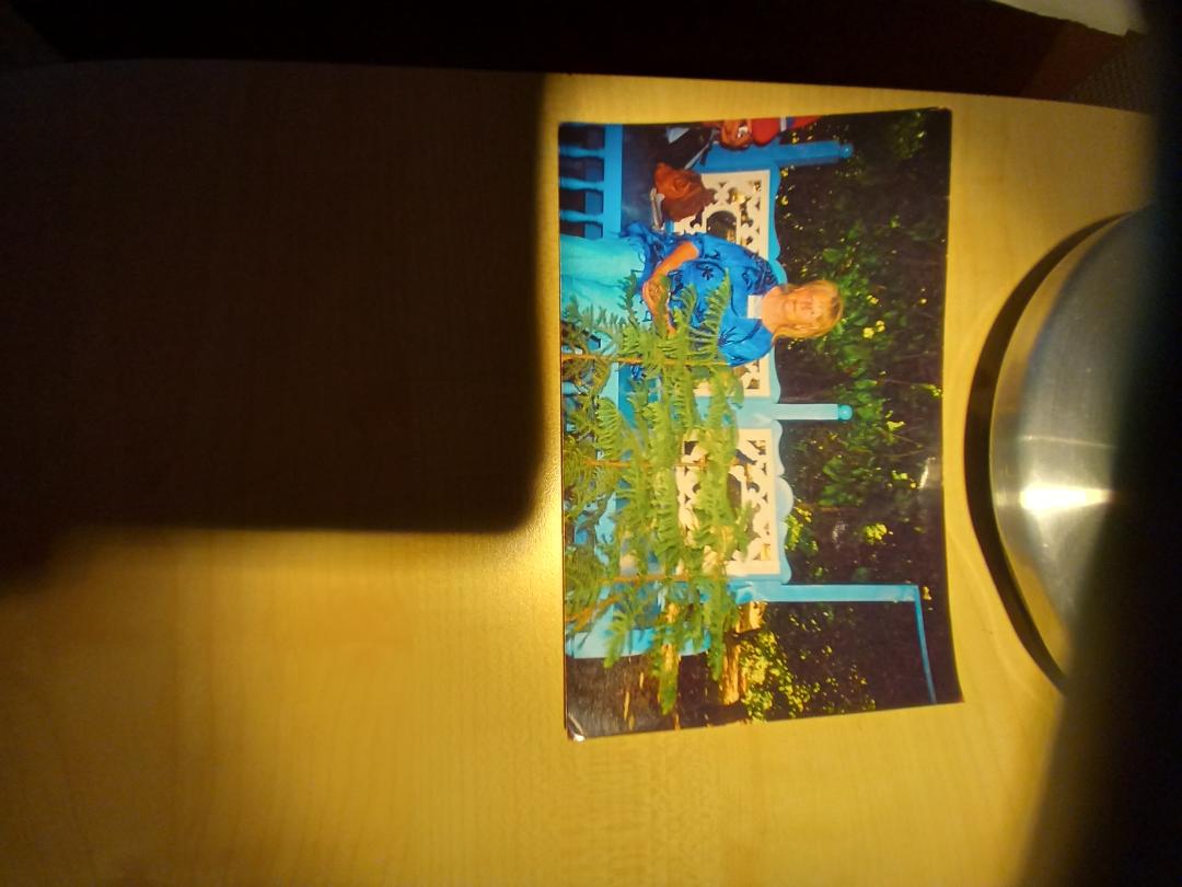 MIN VEI - fra angst  og depresjon til livsglede og latter!